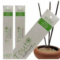 ENCENS VANILLE 12 BATONS