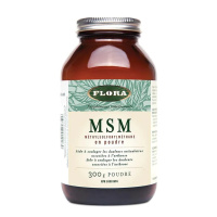 MSM 1000MG 300GR