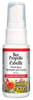 PROPOLIS SPRAY 30ML