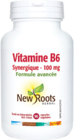 VITAMINE B6 100MG 90CAPS