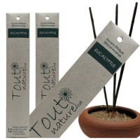 ENCENS EUCALYPTUS 12 BATONS