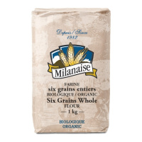 FARINE MULTIGRAINS BIO 1KG