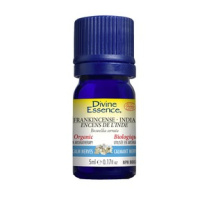 H.E. FRANCKINCENSE INDE 5ML