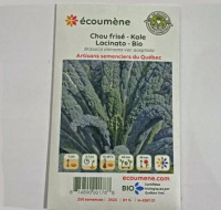 CHOU FRISE-KALE LACINATO BIO