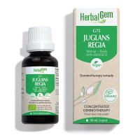 JUGLANS REGIA BOURGEONS 30ML