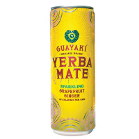 YERBA MATE PAMPL. GING. BIO 355ML