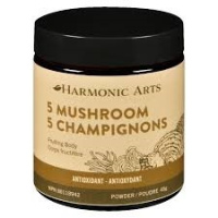 POUDRE 5 CHAMPIGNONS CONCENTRÉ 45G