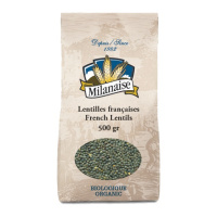LENTILLES FRANCAISES BIO 500G