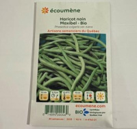 HARICOT NAIN MAXIBEL BIO