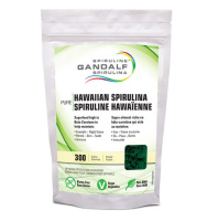 SPIRULINE GANDALF HAWAI 300GR