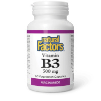VITAMINE B3 NIACINAMIDE 500MG 60CAPS