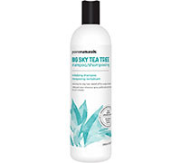 SHAMPOING BIG SKY 500ML