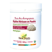 HYDNE HÉRISSON EN POUDRE 100G
