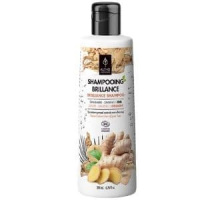 SHAMPOING BRIL. GING/GINS. 200ML