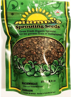 GRAINES À GERMER SARRASIN BIO 100GR
