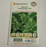 EPINARD GIANT WINTER BIO