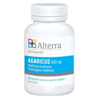 AGARICUS 500MG