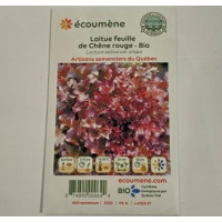 LAITUE FEUILLE CHÊNE ROUGE BIO