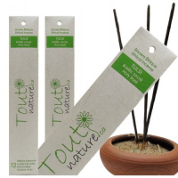 ENCENS TULSI 12 BATONS