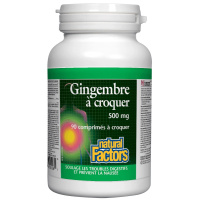 GINGEMBRE 500MG 90 CROQ