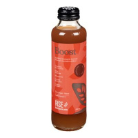 KOMBUCHA BOOST BIO 414ML