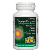 ENZYMES PAPAYE 60CROQ.