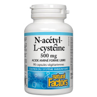 N-ACETYL-L-CYSTEINE 500MG 90CAPS