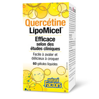 QUERCETINE LIPOMICET 250MG 60GLS