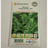 EPINARD GIANT WINTER BIO