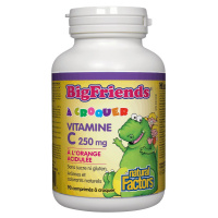 VITAMINE C BIGFRIENDS 90CROQ