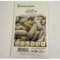 COURGE DELICATA BIO