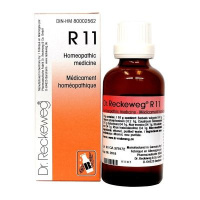 R11 22ML