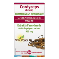 CORDYCEPS 500MG 60CAPS