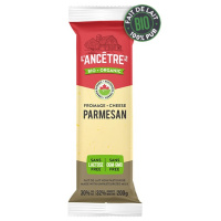 FROMAGE PARMESAN BIO BLOC 200G