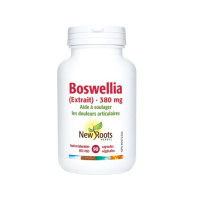 BOSWELLIA (EXTRAIT) 380MG 90CAPS