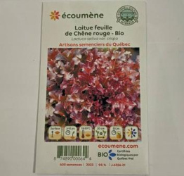 LAITUE FEUILLE CHÊNE ROUGE BIO
