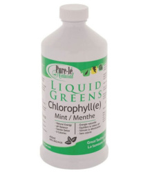CHLOROPHYLLE MENTHE 450ML