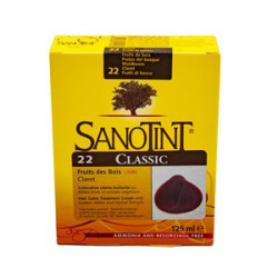STINT 22 FRUITS DES BOIS 125ML