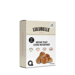 LEVURE INSTANTANÉE SG 3X8G