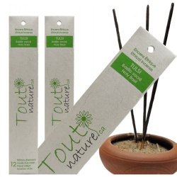 ENCENS TULSI 12 BATONS