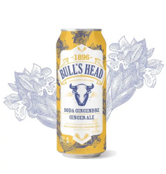 SODA GINGEMBRE 355ML