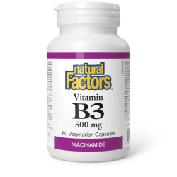 VITAMINE B3 NIACINAMIDE 500MG 60CAPS
