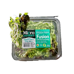 FUSION ESTIVAL 150G