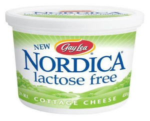 FROMAGE COTTAGE 2% S-LACTOSE 500R