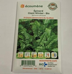 EPINARD GIANT WINTER BIO