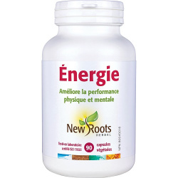 ÉNERGIE ÉNERGISANT 90CAPS