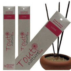 ENCENS LOTUS 12 BATONS