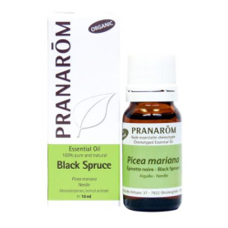 H.E. ÉPINETTE NOIRE BIO 10ML