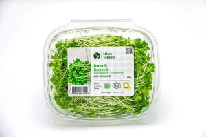 POUSSES BROCOLI 80G