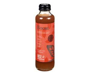 KOMBUCHA BOOST BIO 414ML